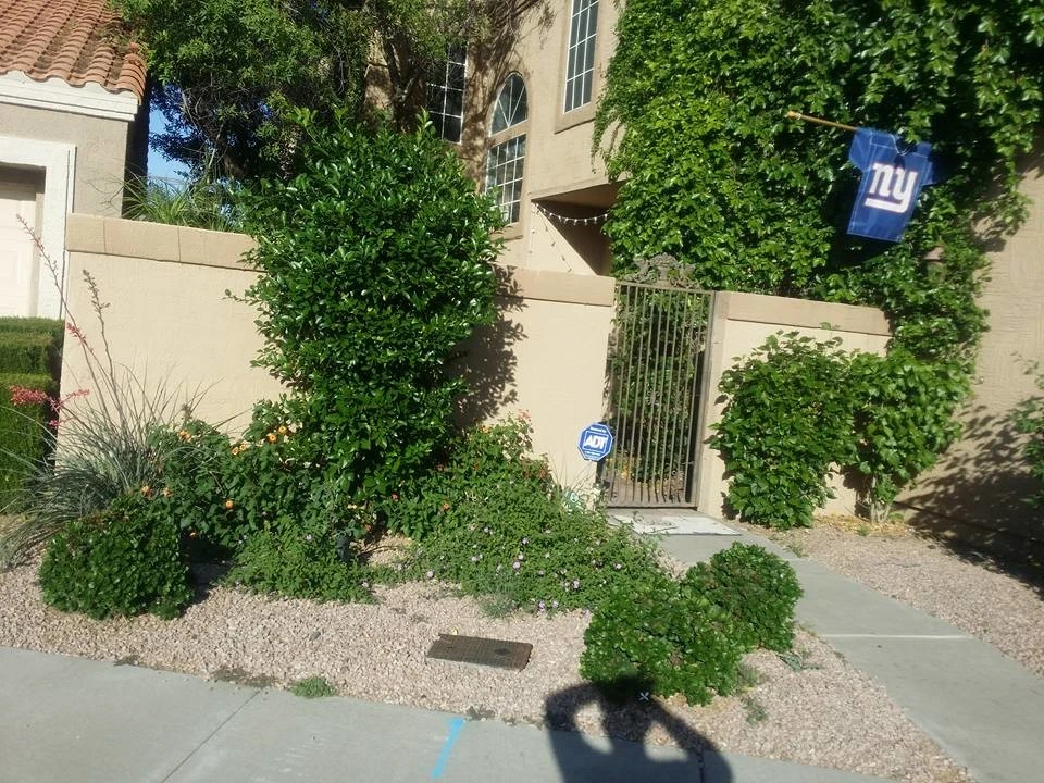 Tommy's Yards Landscaping - Photo 5