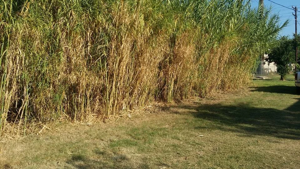 Tommy's Yards Landscaping - Photo 7