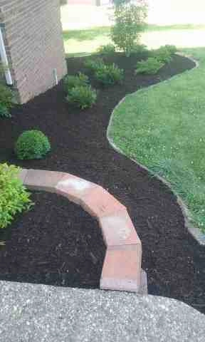 Alberto Alavez Professional Lawn Services LLC 1 by Alberto Alavez Professional Lawn Services LLC - Photo 17