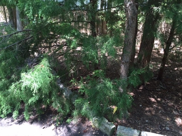 Fairview Texas Design/Installation Before & After Photos by Absolutely Bushed Landscaping - Photo 15