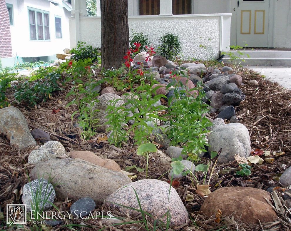 Rain Gardens by EnergyScapes - Photo 4