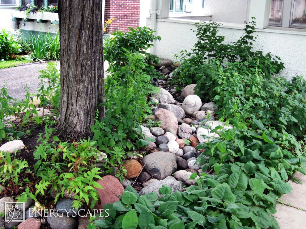 Rain Gardens by EnergyScapes - Photo 6
