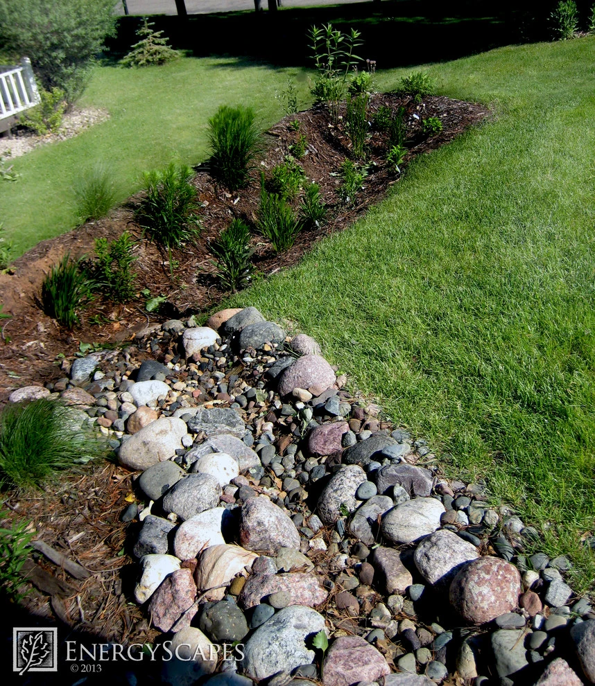 Rain Gardens by EnergyScapes - Photo 7