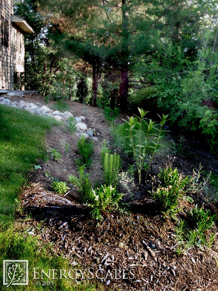 Rain Gardens by EnergyScapes - Photo 5