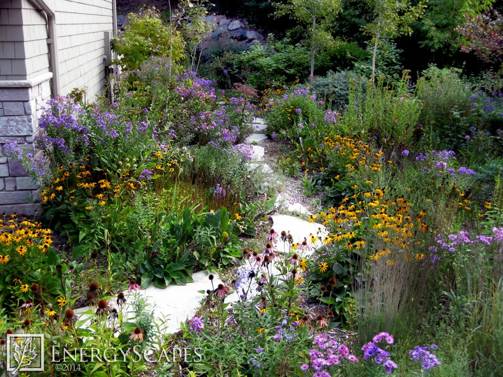 EnergyScapes - Photo 5