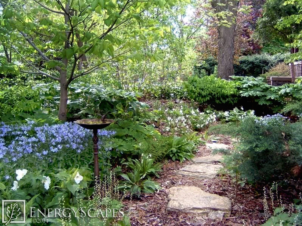 Native Gardens by EnergyScapes - Photo 2