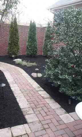 Alberto Alavez Professional Lawn Services LLC 1 by Alberto Alavez Professional Lawn Services LLC - Photo 36