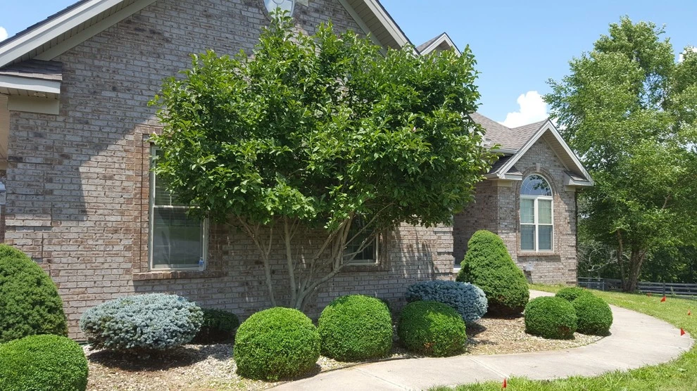 Delaney Woods by 4 Seasons Home & Garden - Photo 3