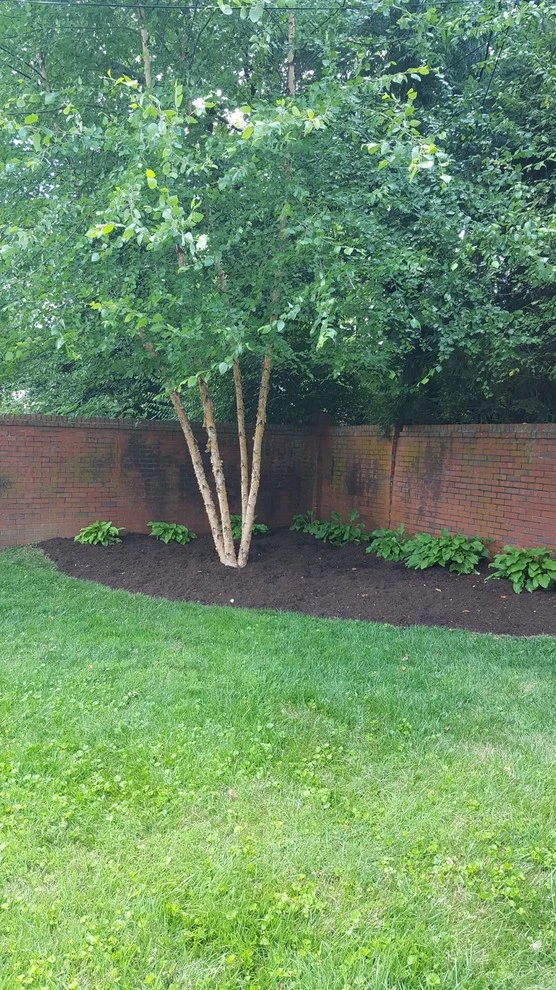 Old Dobbin by 4 Seasons Home & Garden - Photo 2