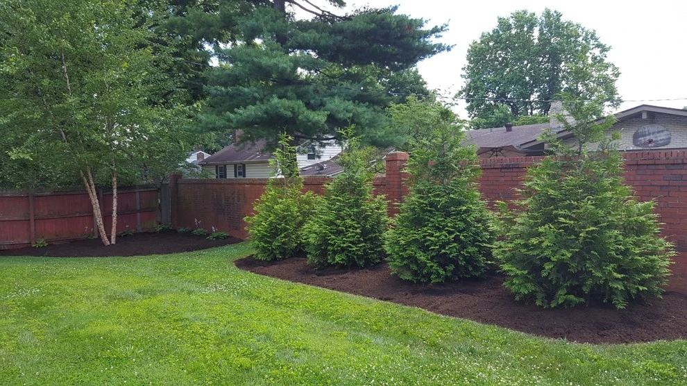 Old Dobbin by 4 Seasons Home & Garden - Photo 3