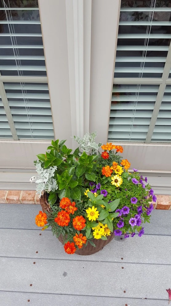 Tuscany by 4 Seasons Home & Garden - Photo 2