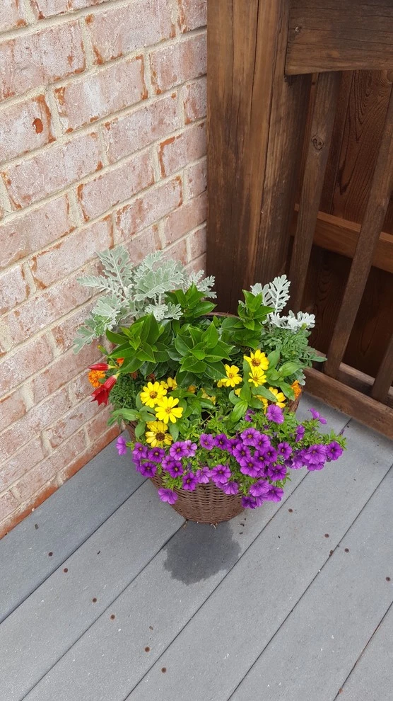 Tuscany by 4 Seasons Home & Garden - Photo 5