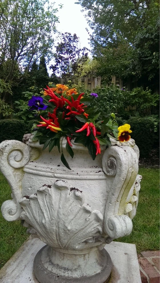Chevy Chase by 4 Seasons Home & Garden - Photo 13