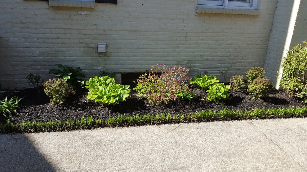 Chevy Chase by 4 Seasons Home & Garden - Photo 12