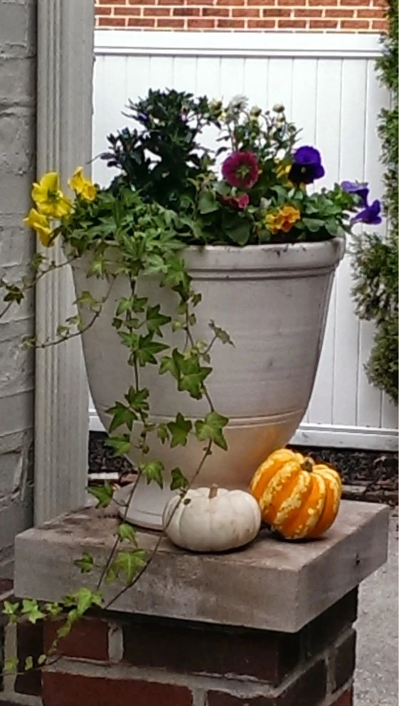 Chevy Chase by 4 Seasons Home & Garden - Photo 17