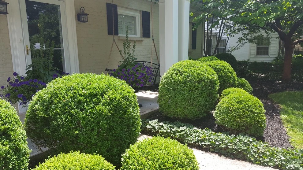 Chevy Chase by 4 Seasons Home & Garden - Photo 15