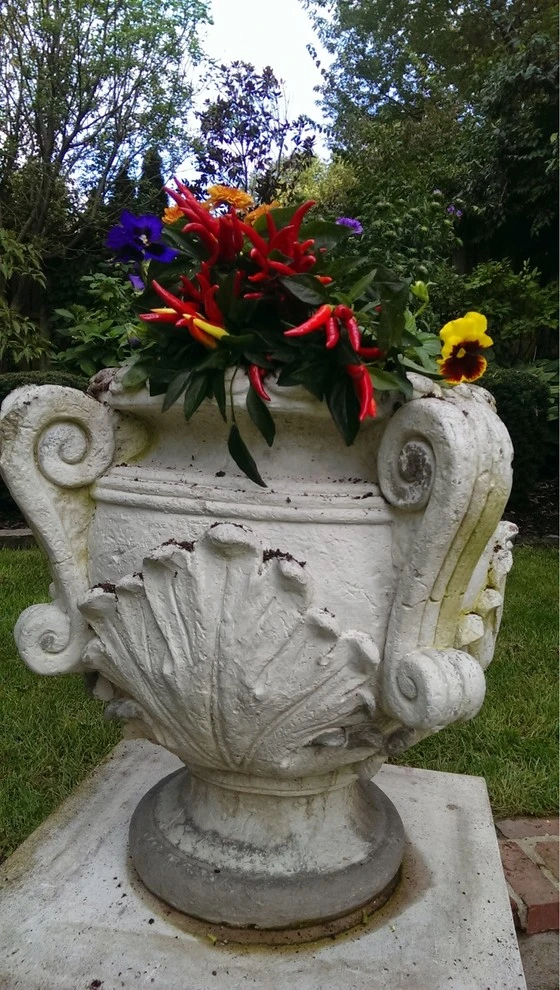 Chevy Chase by 4 Seasons Home & Garden - Photo 5