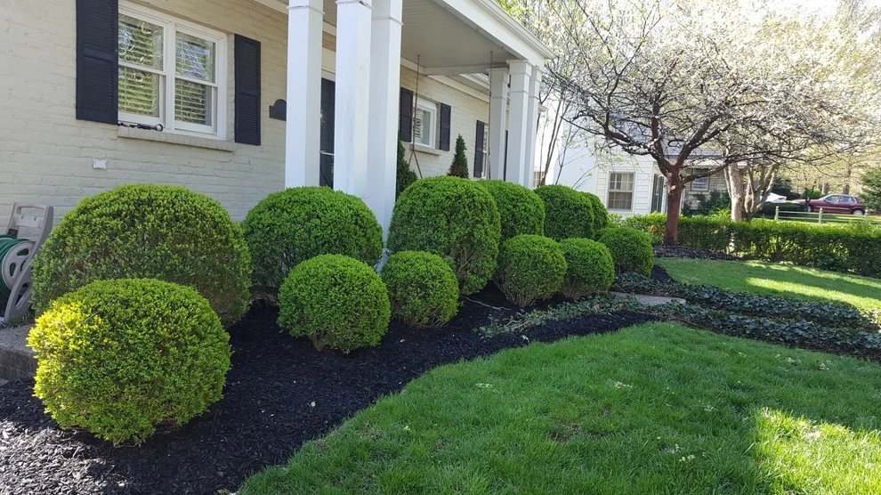 Chevy Chase by 4 Seasons Home & Garden - Photo 2