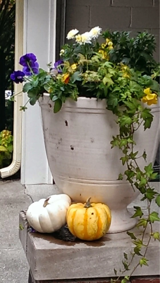 Chevy Chase by 4 Seasons Home & Garden - Photo 3