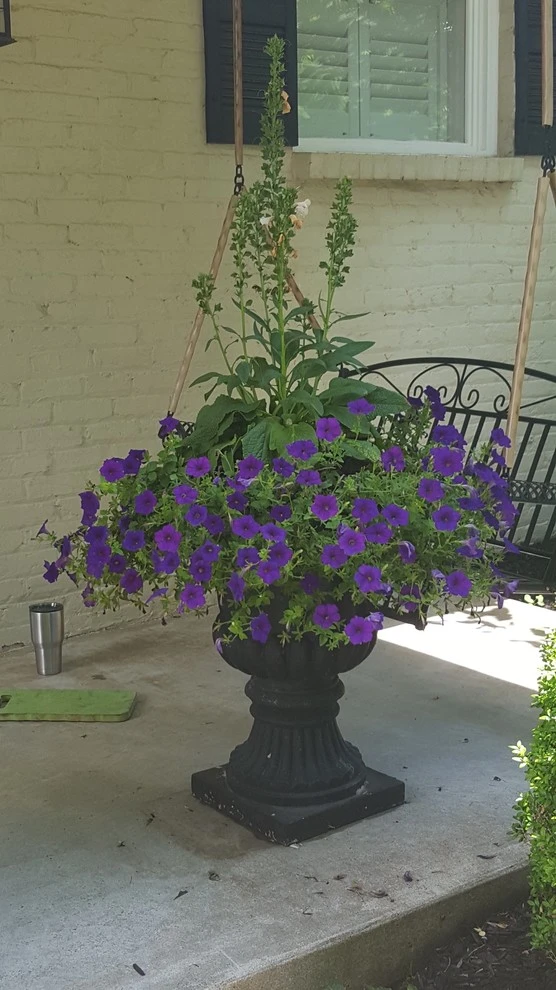 4 Seasons Home & Garden - Photo 9