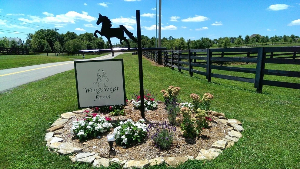 Windswept Farm by 4 Seasons Home & Garden - Photo 2