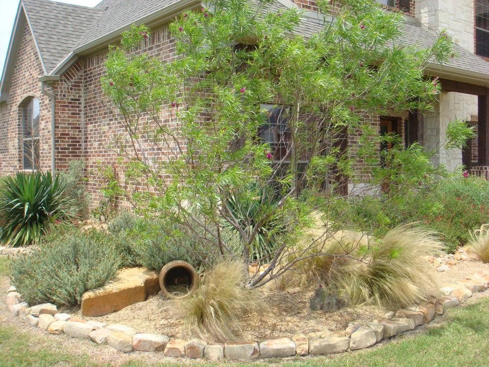 Xeriscaping by Absolutely Bushed Landscaping - Photo 12