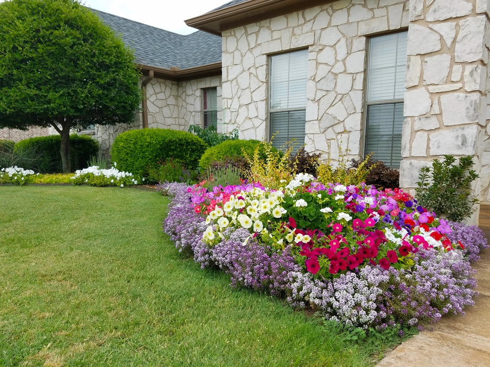 Front Yard Landscaping Project in Prosper by Absolutely Bushed Landscaping - Photo 4