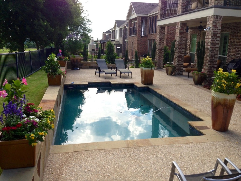 Prosper Fall Landscaping by Absolutely Bushed Landscaping - Photo 2