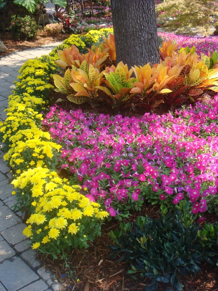 State Fair of Texas by Absolutely Bushed Landscaping - Photo 17