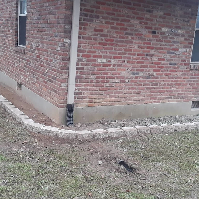 Alberto Alavez Professional Lawn Services LLC by Alberto Alavez Professional Lawn Services LLC - Photo 20