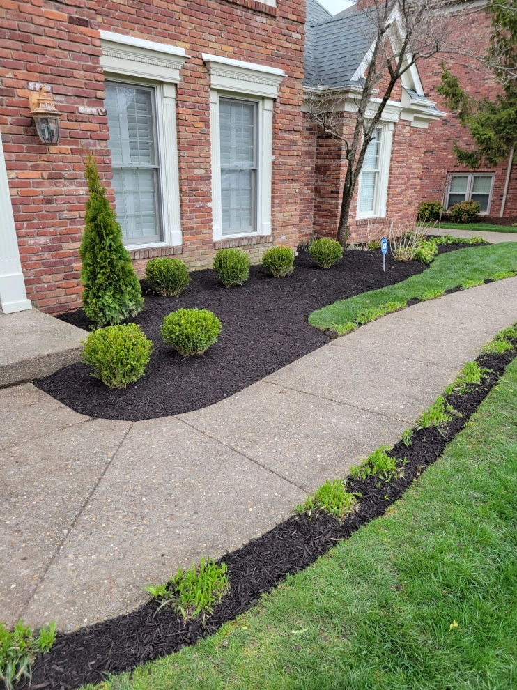 Alberto Alavez Professional Lawn Services LLC by Alberto Alavez Professional Lawn Services LLC - Photo 10