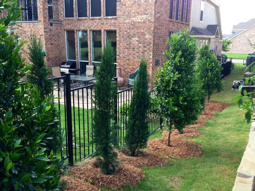Prosper Fall Landscaping by Absolutely Bushed Landscaping - Photo 12