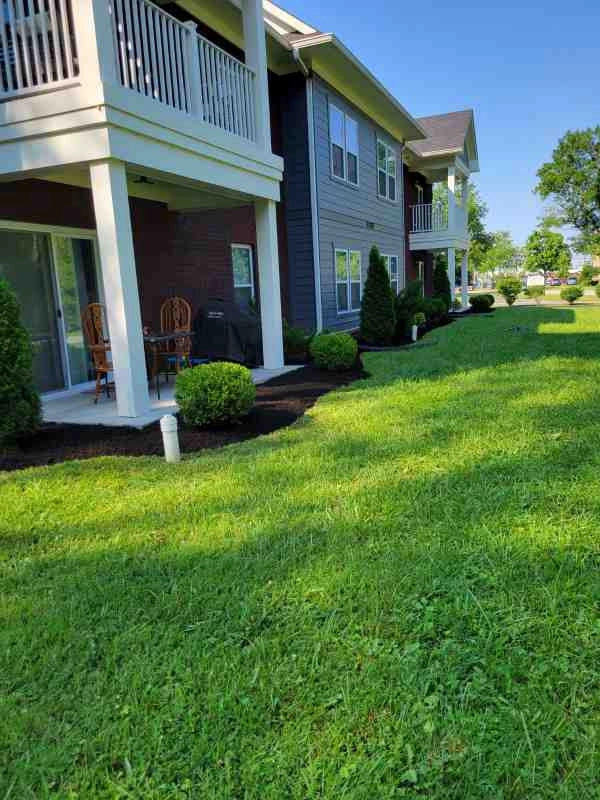 Alberto Alavez Professional Lawn Services LLC 3 by Alberto Alavez Professional Lawn Services LLC - Photo 15
