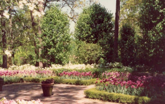 Landscape Architects, Inc - Photo 5