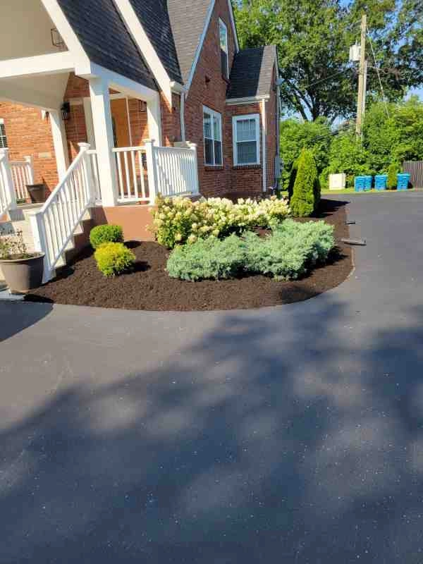 Alberto Alavez Professional Lawn Services LLC 3 by Alberto Alavez Professional Lawn Services LLC - Photo 12