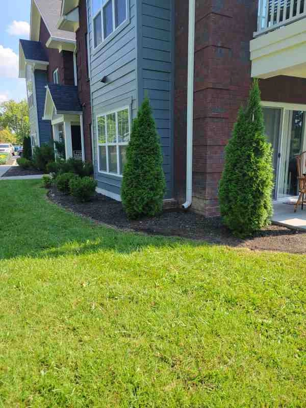 Alberto Alavez Professional Lawn Services LLC 3 by Alberto Alavez Professional Lawn Services LLC - Photo 17