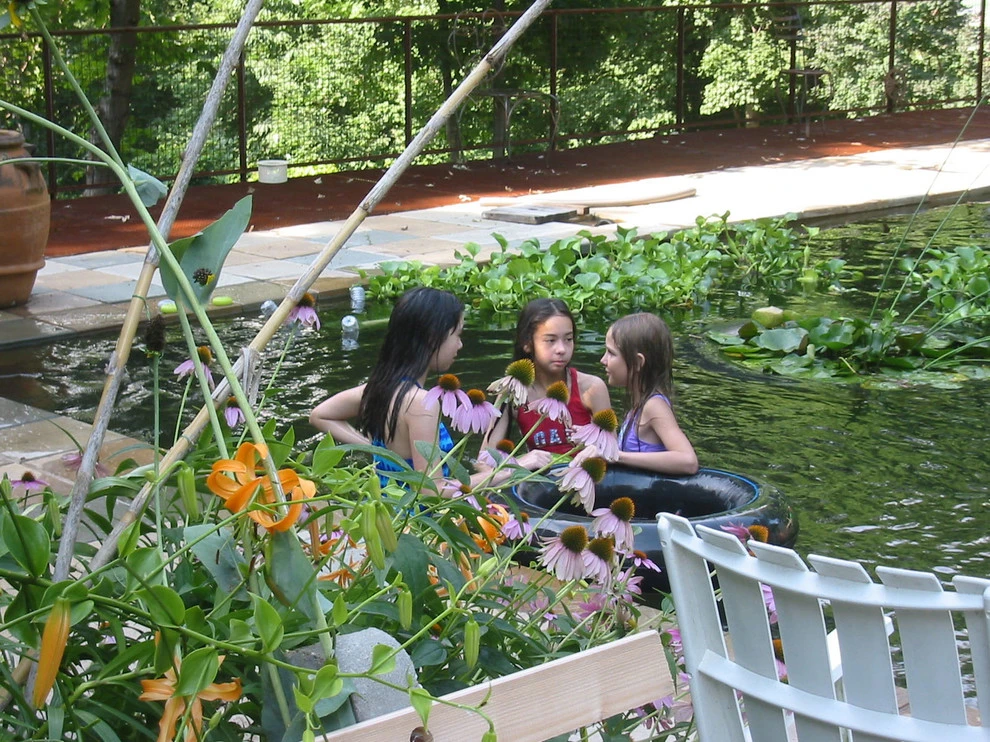 LEWISITES Landscape Architects - Photo 11