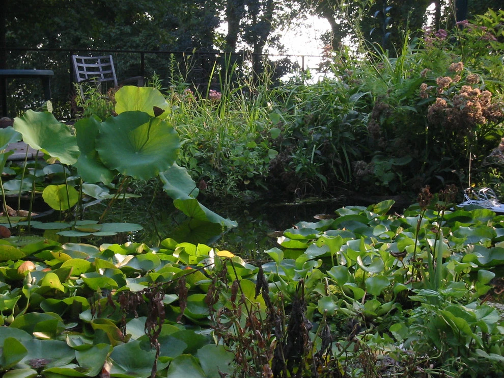 LEWISITES Landscape Architects - Photo 9