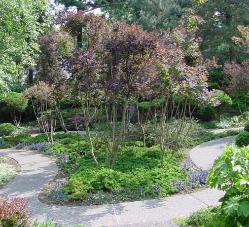 Private Residence/ Olivette by LEWISITES Landscape Architects - Photo 3