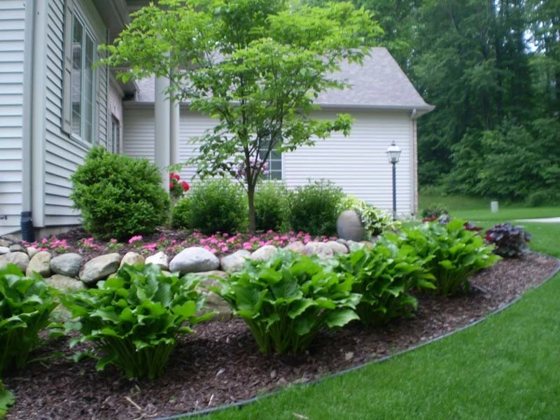 New Frontiers Landscaping - Photo 2