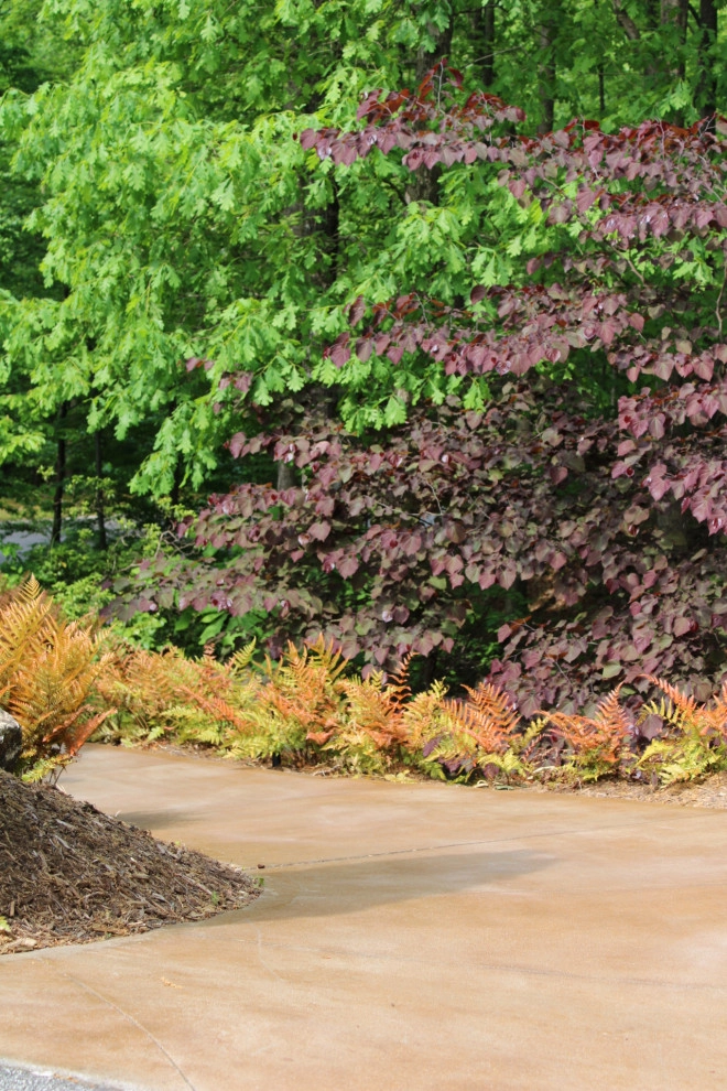 Landscaping by Graham Kimak Landscape Designs - Photo 10