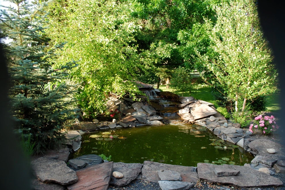Sprinkler Specialties & Landscaping - Photo 4