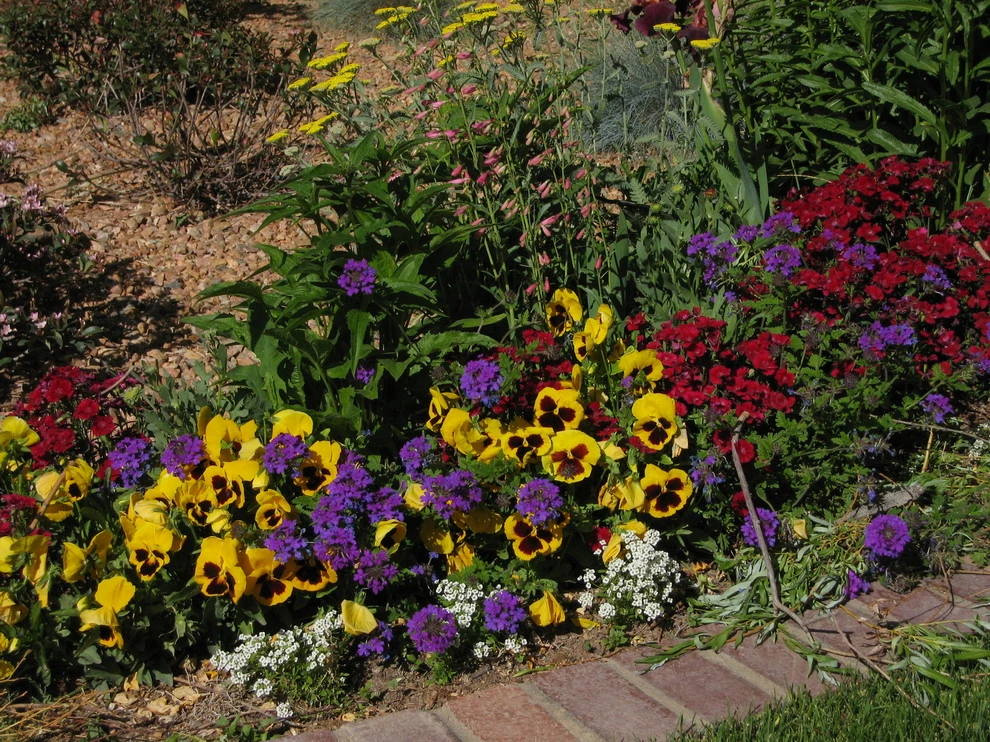 Steve Shelly Landscape Design - Photo 10