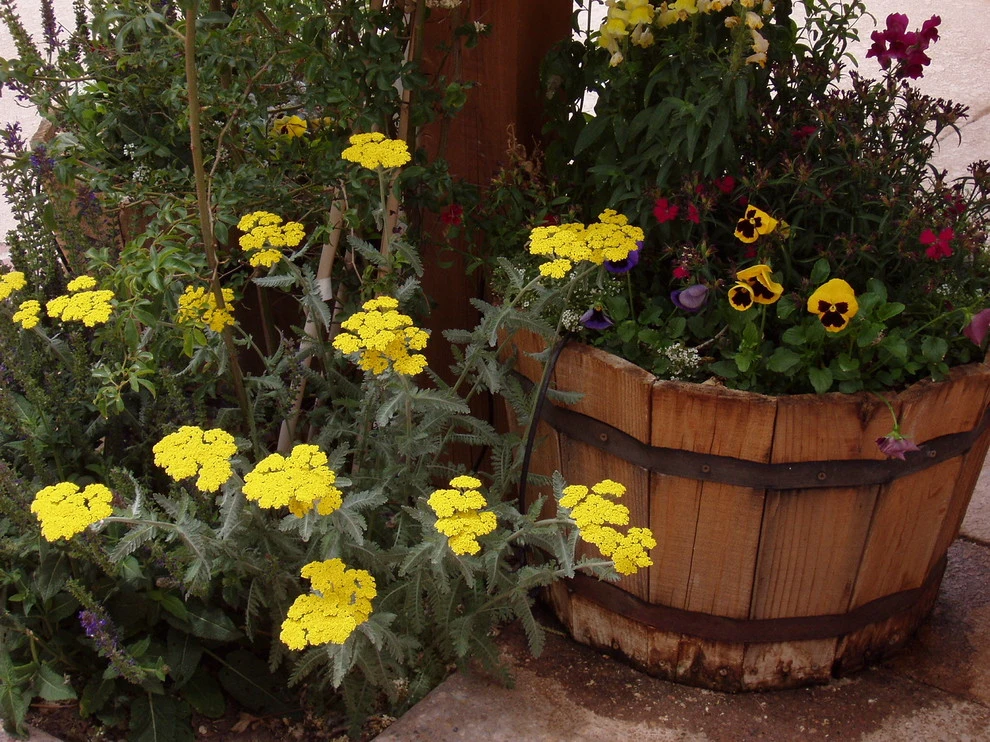 Local Landscape Projects and Designs by Steve Shelly Landscape Design - Photo 11