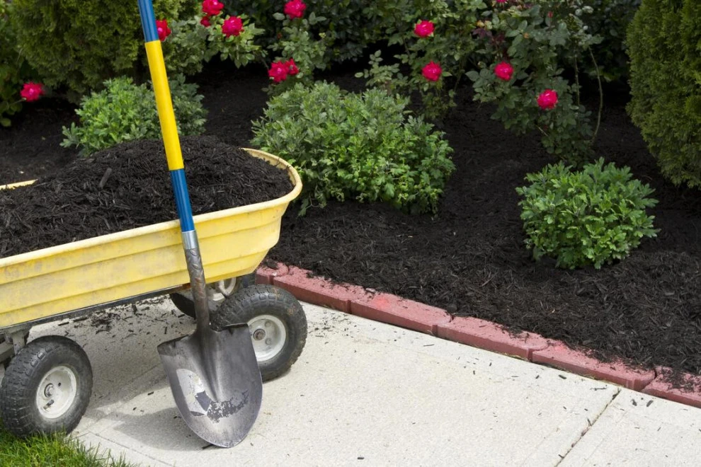 Albuquerque Landscaping Pros - Photo 2