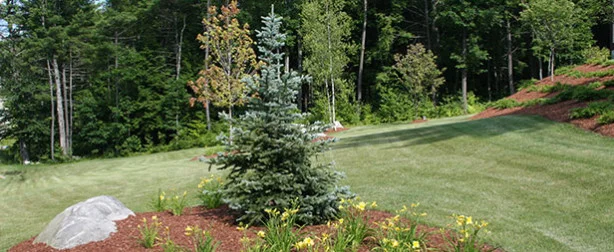 Brochu Nurseries Landscaping & Garden Center - Photo 6