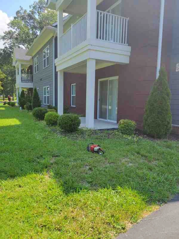 Alberto Alavez Professional Lawn Services LLC 3 by Alberto Alavez Professional Lawn Services LLC - Photo 66