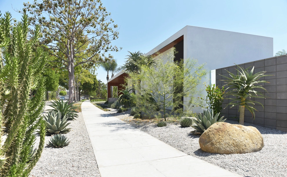 Garden Plantings by Graham Stanley & Associates - Photo 7
