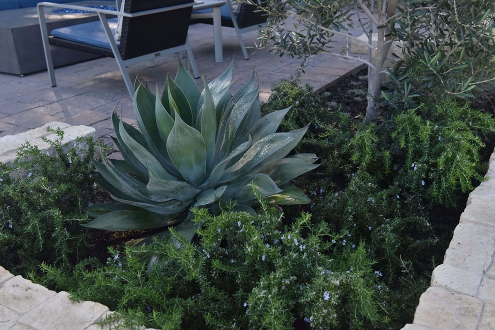 Garden Plantings by Graham Stanley & Associates - Photo 4