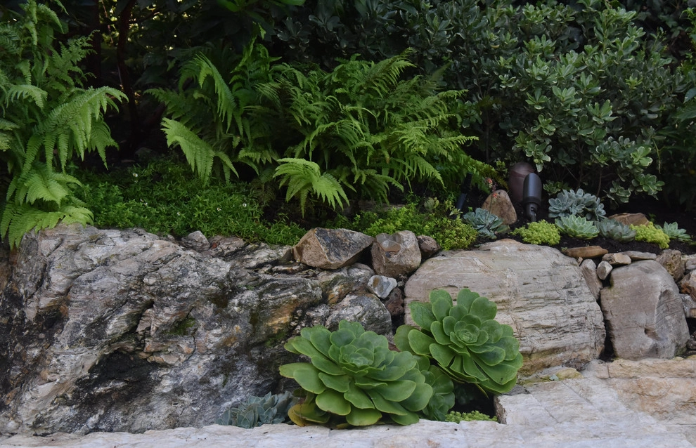 Garden Plantings by Graham Stanley & Associates - Photo 15